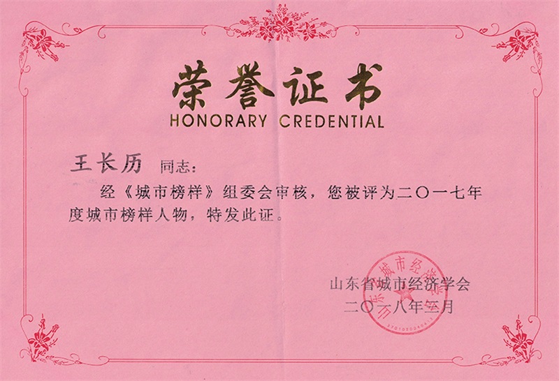山东省城市榜样--荣誉证书