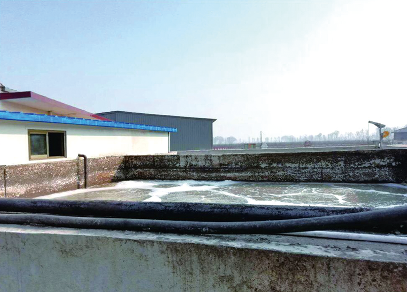 养殖废水处理工艺流程图-山西养殖客户